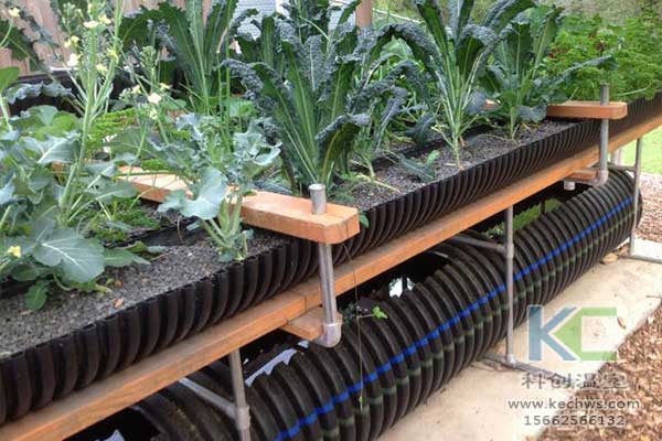 無土栽培，無土栽培技術(shù)，無土栽培設(shè)備