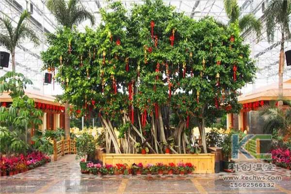 無土栽培，無土栽培技術，無土栽培設備