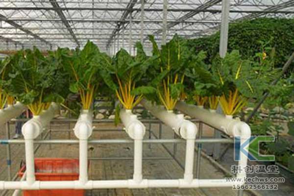 無土栽培，無土栽培技術