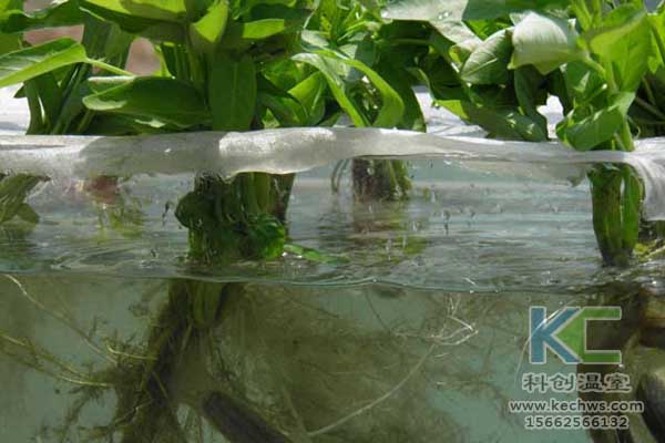 無土栽培技術(shù)，無土栽培設(shè)備，無土栽培，溫室大棚