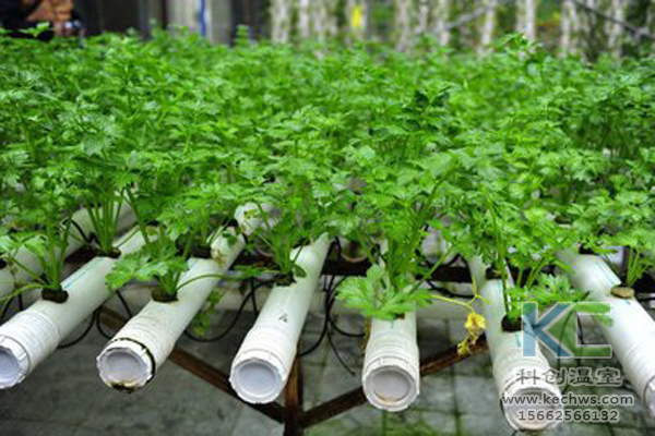 無土栽培，無土栽培技術，無土栽培設備