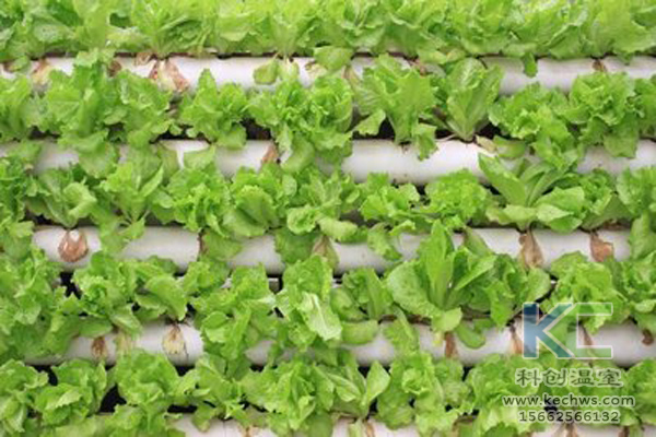 無土栽培，無土栽培技術，無土栽培設備