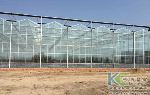 無土栽培，無土栽培技術，無土栽培設備