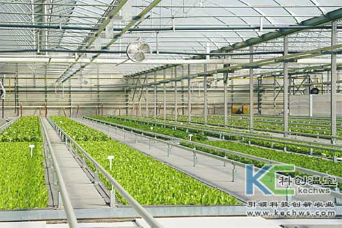 無土栽培，無土栽培技術(shù)，無土栽培設(shè)備