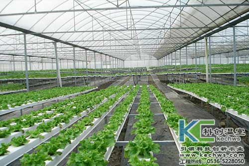 無土栽培，無土栽培技術，無土栽培設備
