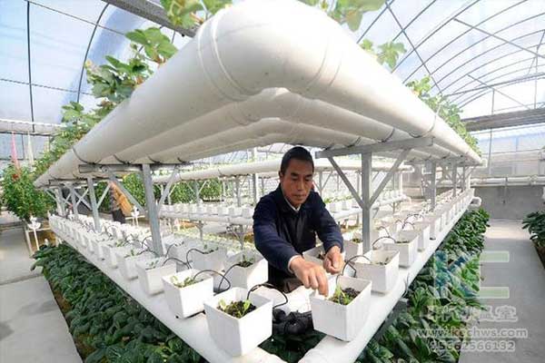 無(wú)土栽培，無(wú)土栽培技術(shù)