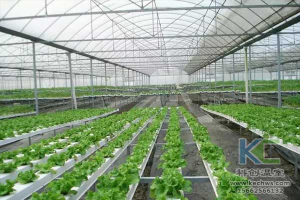 無土栽培，無土栽培技術，無土栽培設備