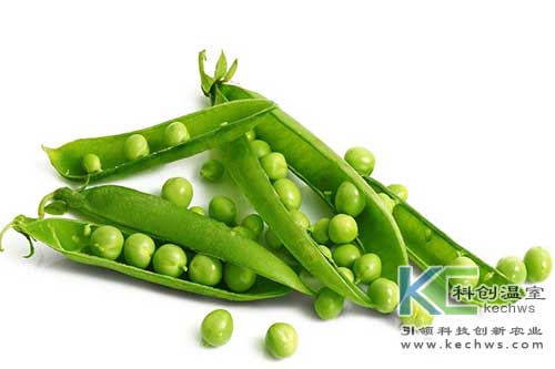 無土栽培，無土栽培技術，無土栽培設備