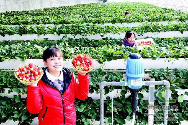 無土栽培，無土栽培技術(shù)，無土栽培設(shè)備