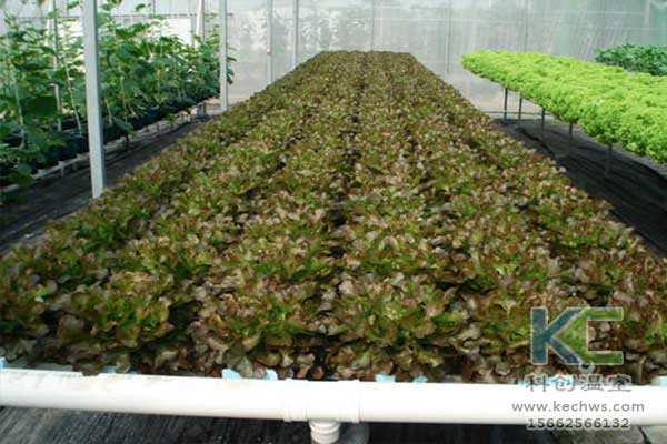 無土栽培，無土栽培技術，無土栽培設備