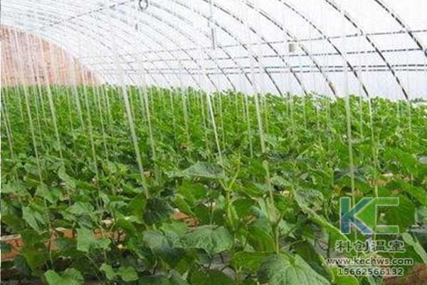 無土栽培，無土栽培技術(shù)，無土栽培設(shè)備