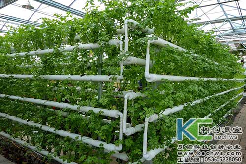 無土栽培，無土栽培技術，無土栽培設備