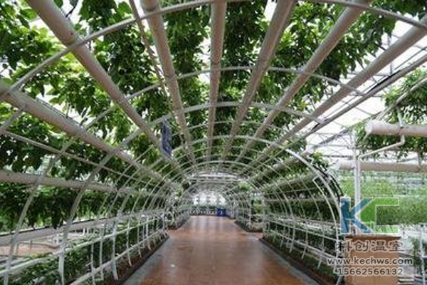 無土栽培，無土栽培技術(shù)，無土栽培設(shè)備