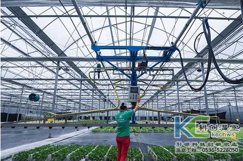 無土栽培，無土栽培技術(shù)，無土栽培設(shè)備