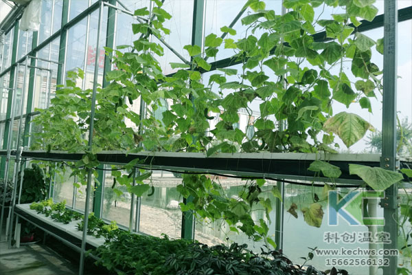 無土栽培，無土栽培技術，無土栽培設備