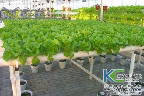無(wú)土栽培，無(wú)土栽培技術(shù)，無(wú)土栽培設(shè)備