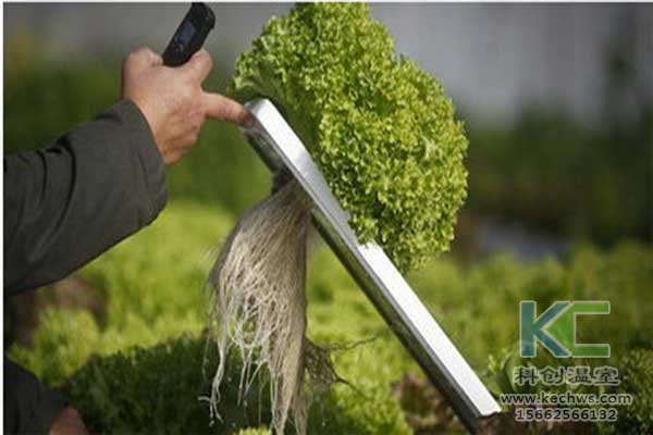 無土栽培，無土栽培技術，無土栽培設備