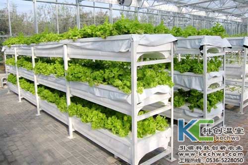無土栽培，無土栽培技術，無土栽培設備