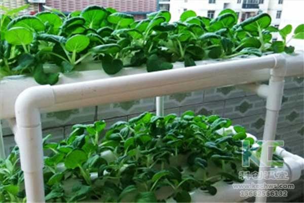 無(wú)土栽培，無(wú)土栽培技術(shù)