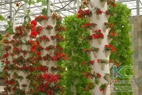 無(wú)土栽培，無(wú)土栽培技術(shù)，無(wú)土栽培設(shè)備