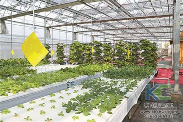 無土栽培，無土栽培技術，無土栽培設備