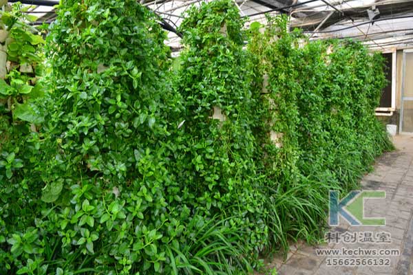 無土栽培，無土栽培技術(shù)，無土栽培設備