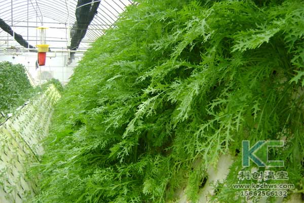 無土栽培，無土栽培技術，無土栽培設備