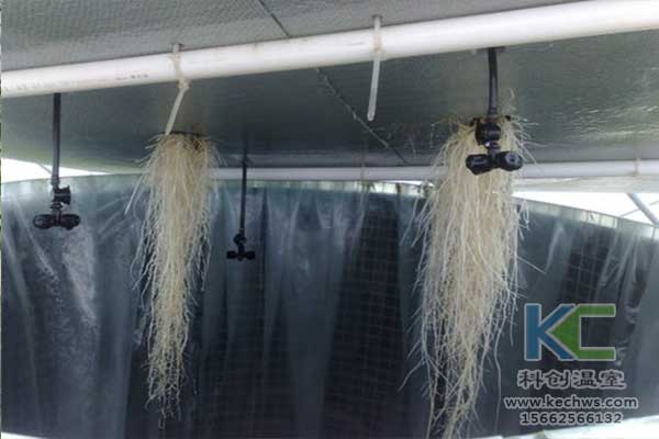 無(wú)土栽培，無(wú)土栽培技術(shù)，無(wú)土栽培設(shè)備