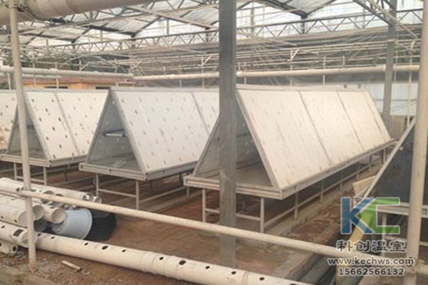 魚菜共生系統(tǒng)，無土栽培技術(shù)，無土栽培，溫室大棚