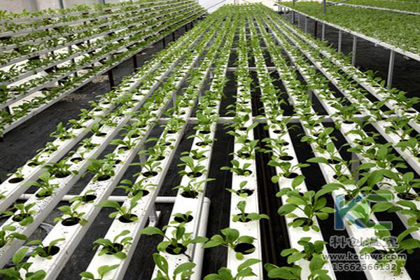 無土栽培，無土栽培技術，無土栽培設備