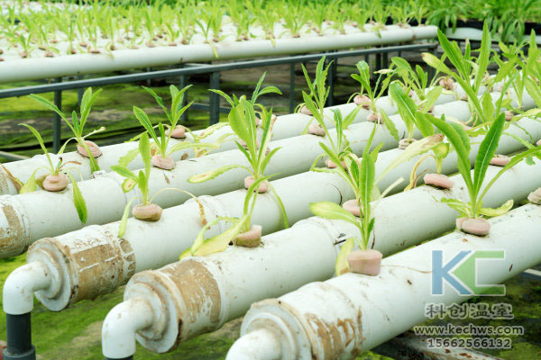 無土栽培，無土栽培技術，無土栽培設備