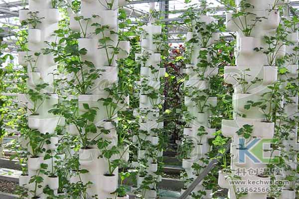 無土栽培技術，無土栽培設備，無土栽培，溫室大棚