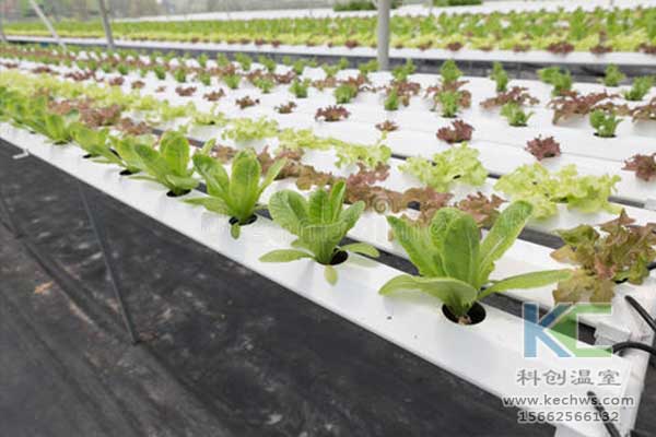無土栽培，無土栽培技術，無土栽培設備