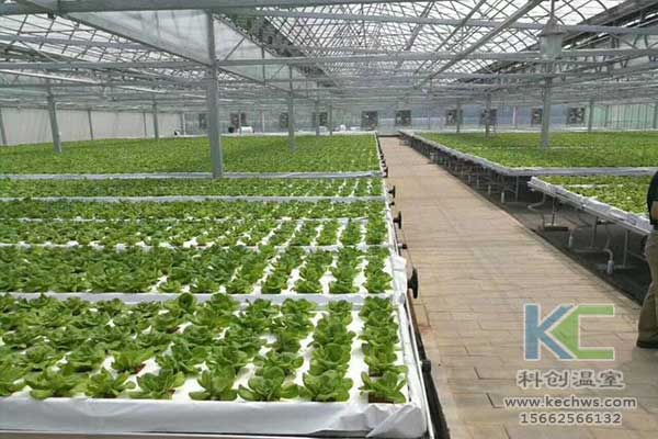 無土栽培，無土栽培技術(shù)，無土栽培設備