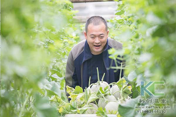 無土栽培，無土栽培技術，無土栽培設備