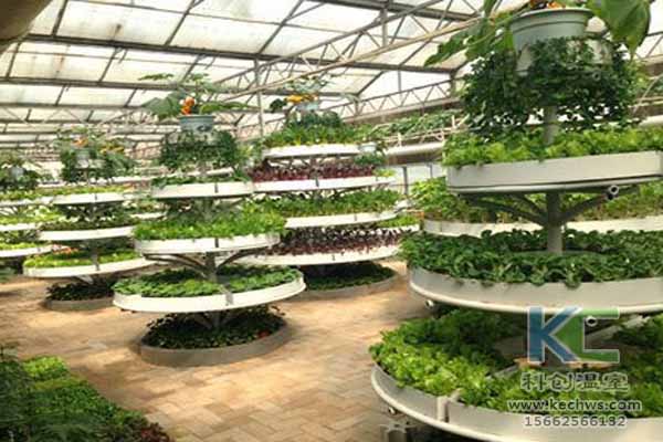 無土栽培技術(shù)，無土栽培設備，無土栽培，溫室大棚