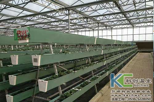 無土栽培，無土栽培技術(shù)，無土栽培設(shè)備