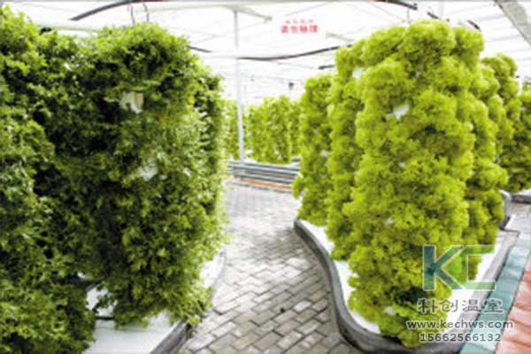 無土栽培，無土栽培技術，無土栽培設備