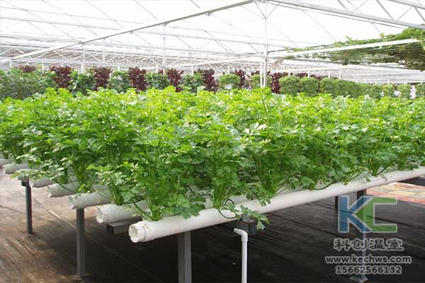 無土栽培，無土栽培技術，無土栽培設備