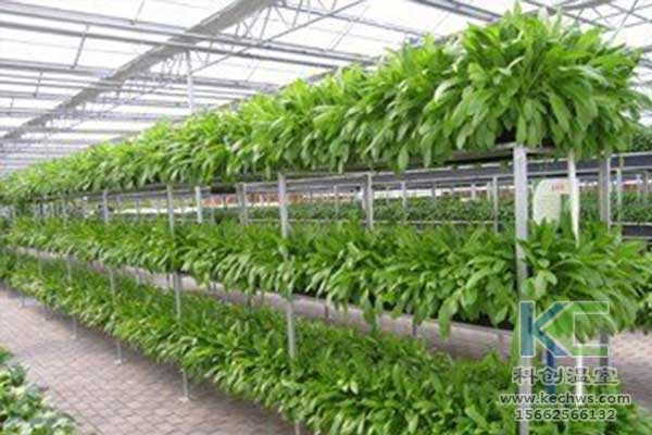無土栽培，無土栽培技術(shù)，無土栽培設備