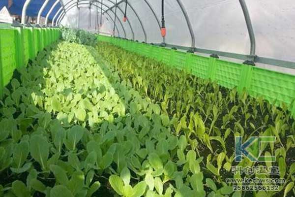 無土栽培，無土栽培技術，無土栽培設備