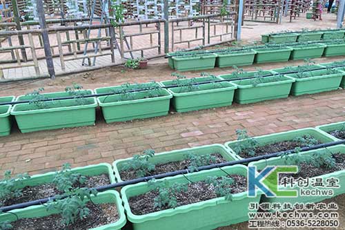 無土栽培，無土栽培技術(shù)，盆式