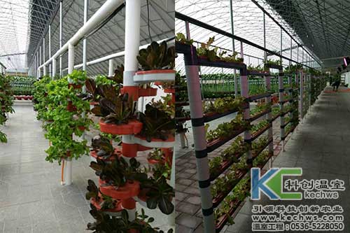 山西,無土栽培,無土栽培技術
