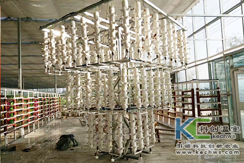 無土栽培,基質栽培,水培