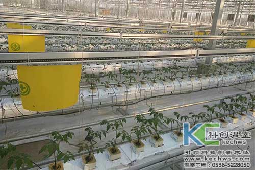 無土栽培，無土栽培技術，無土栽培設備