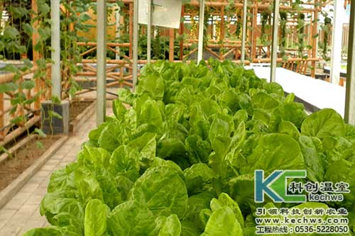 無土栽培，無土栽培技術(shù)