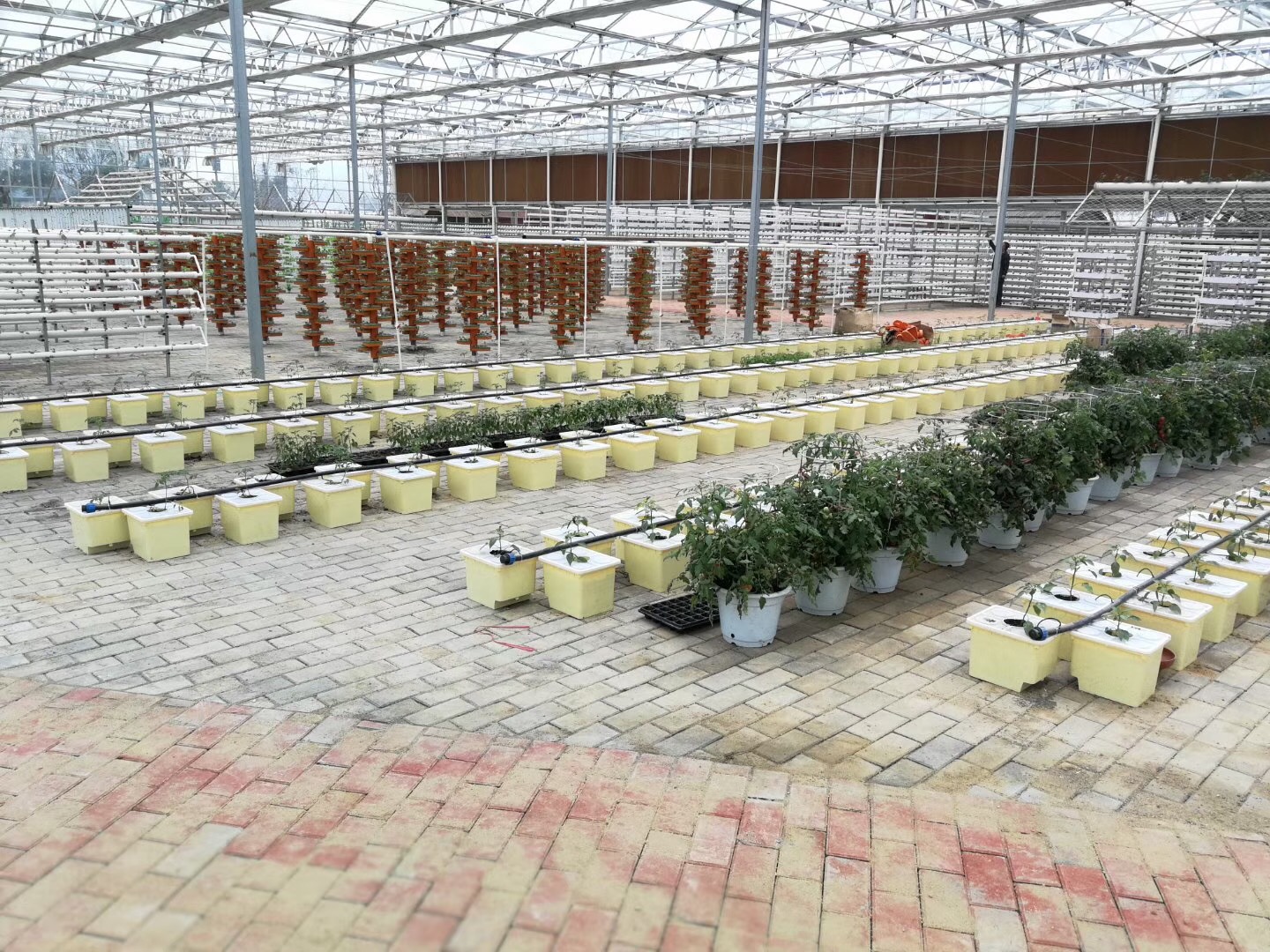 無土栽培，無土栽培技術(shù)，無土栽培設(shè)備