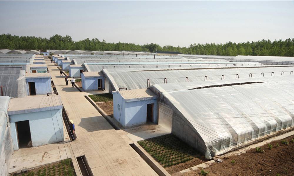 無土栽培，無土栽培技術(shù)，無土栽培設(shè)備