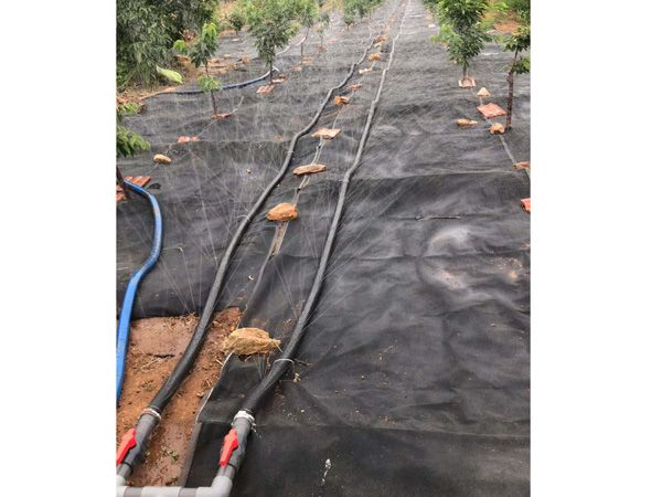 無土栽培，無土栽培技術，無土栽培設備