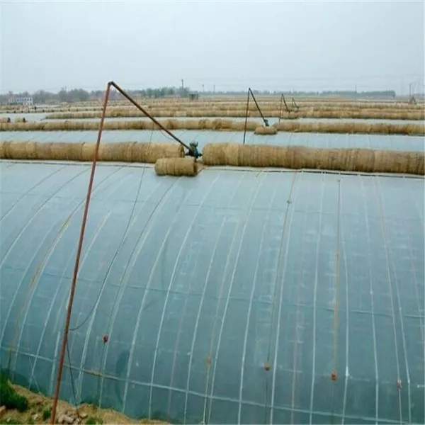 無土栽培，無土栽培技術，無土栽培設備